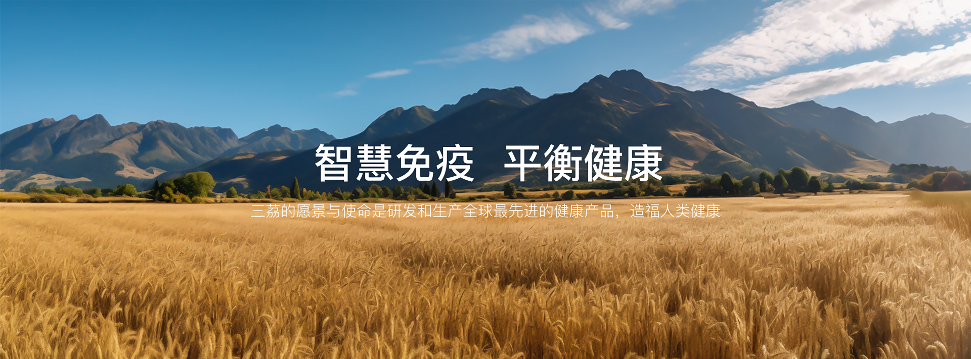 智慧免疫 平衡健康