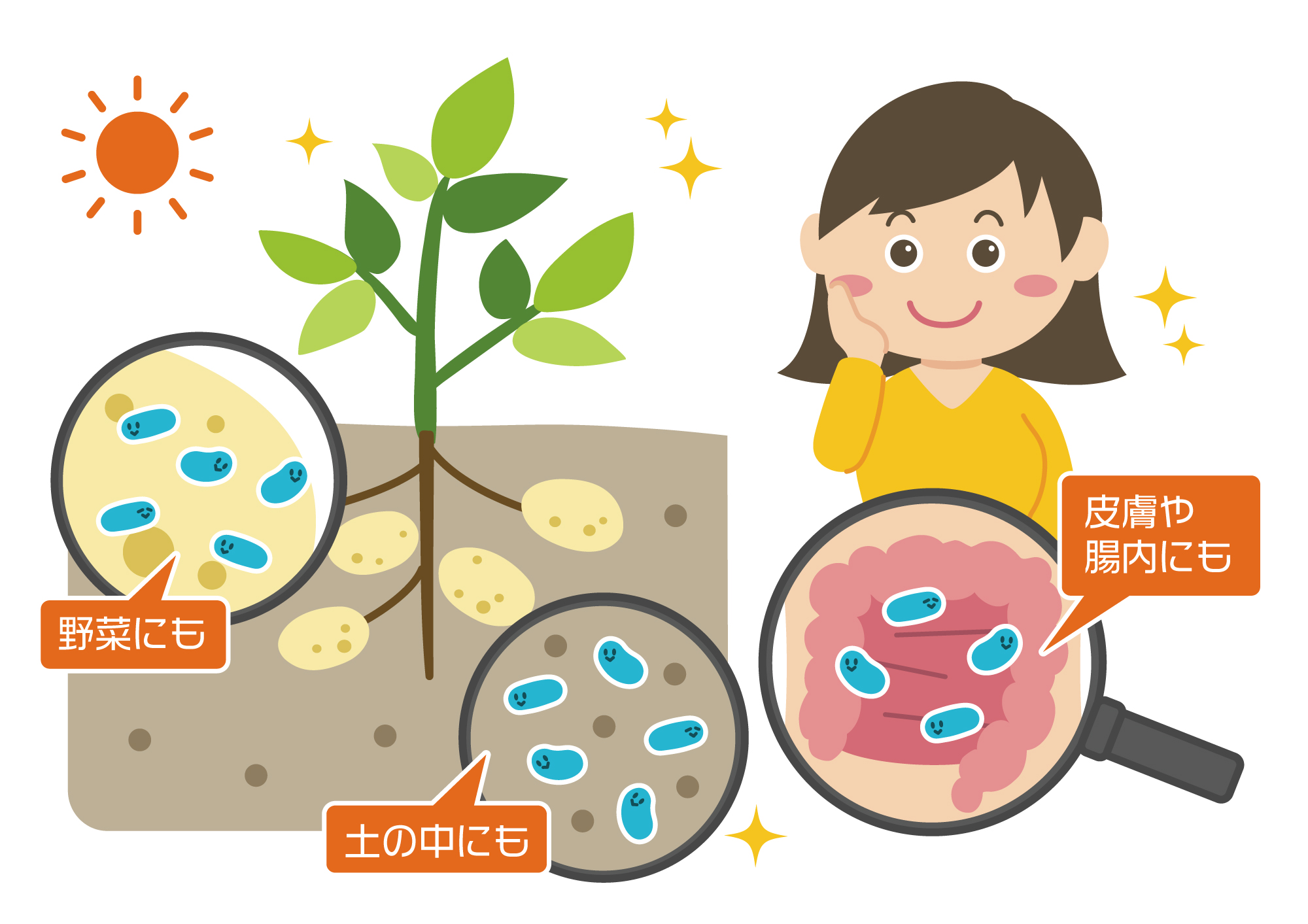 LPS无处不在！它存在于哪些地方？哪些食物富含LPS？