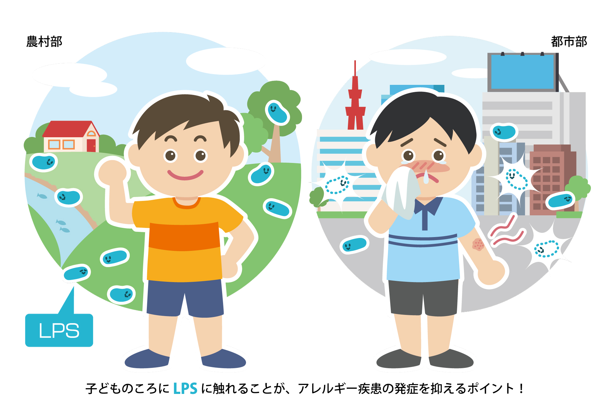 LPS与过敏之间有何关系？探究过敏症突然增多的原因