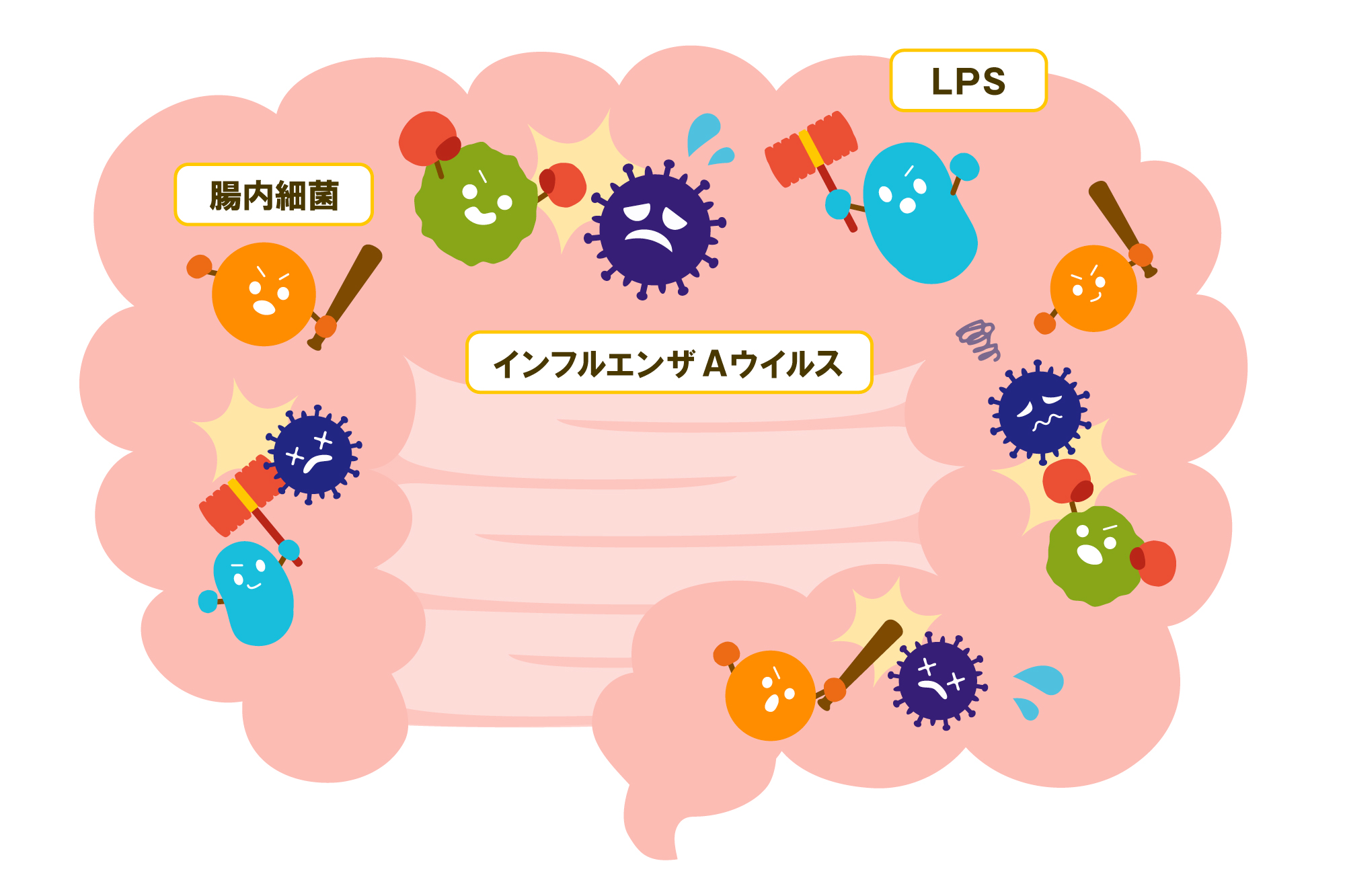 LPS能有效预防流感吗？它的作用机制是什么？